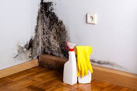 Why You Should Choose Our Mold Remediation Services in Lamar, AR